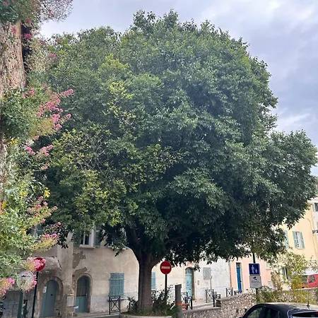 Superbe Climatise Pres De La Noailles * Hyeres