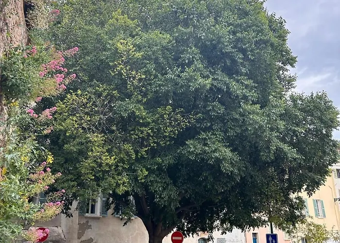 Superbe Climatise Pres De La Noailles * הייר